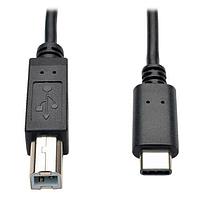 Tripp Lite U040-006 USB 2.0 6FT USB 2.0 B/C CBL