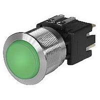 Schurter 3-101-024 Standard Switches 16A, 250VAC 19mm 2 POLE BRIGHT GRN