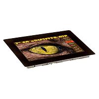 TFT Displays & Accessories