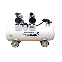 PEGASUS TM-OF750x2-70L Oil Free Silent Air Compressor (220V, 8 Kg/cm, 70L)
