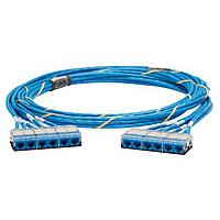 Panduit QXRBCBCBXX39 Cat 6a QN Cable Assembly, Cat 6A (SD), CMR, Blu