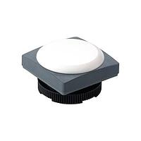 RAFI 1.74.508.051/2500 Solid State Indicator RAFIX 22 FS Plus Indicator Green