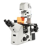 Euromex DI.3053-PLPHFi Trinocular Delphi-X Inverso inverted microscope (HWF 10x/25 mm, 10x/20x/S40x)