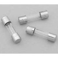 Eaton BK/S506-10-R Glass Fuses SMALL DIM. FUSE