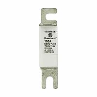 Eaton Bussmann 170M1417 High Speed Fuse 100A 690V 000TN/80 AR UC