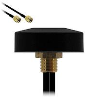 Siretta TANGO43/0.5M/SMAM/SMAM/RP/S/S/17 Passive Antenna LTE + WIFI COMBINED BOLT THRU ANTENNA 0.5M CABLES SMA MALE RP CONN (WIFI) SMA MALE CONN (LTE)