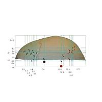 True Phantom Solutions FO-C01 Foreign Objects