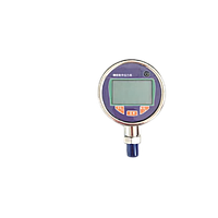 Single Pressure Digital Gauge