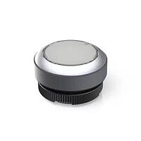 RAFI 1.30270.9212200 Standard Switches