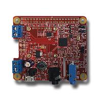 Tempo Semiconductor TSI42A2-RPIHAT-A Audio Codec TSCS42xx Raspberry Pi HAT Board