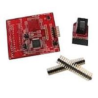 Microchip Technology AC244036 Processor Extension Paks Processor Ext Pak for PIC16LF1939