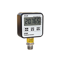 EiUK P100-2KG Digital Pressure Test Gauge (0 ~ 2000 bar)