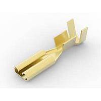 AMP Connectors - TE Connectivity 737107-4 Receptacle 2 8 FASTON RECEPT