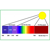Quang phổ UV-Vis hoạt động như thế nào