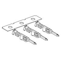 Molex 215953-0012 Plug Micro-Fit WtW plug TML 26