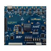 GOWIN DK-VIDEO-GW2A18-PG484 FPGA