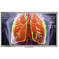 TFT Displays & Accessories