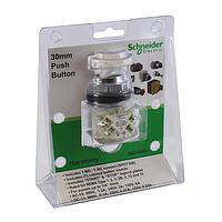 SCHNEIDER 9001AB1 Standard Switches PUSHBUTTON