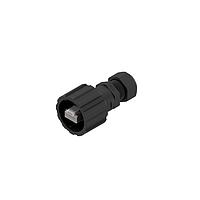 Modular / Ethernet Connectors