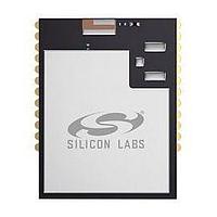 Silicon Labs MGM12P02F1024GA-v4R Wireless Mesh Modules Mighty Gecko ARM Cortex-M4 256 kB flash, 32 kB RAM module