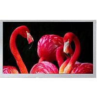Riverdi RVT70HSMNWN00 TFT Displays MIPI, HB, IPS, No Metal Frame