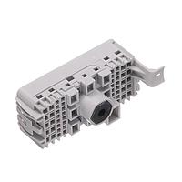 Aptiv 13968449 Connectors ASM CONN 60 F 1.5 CTS 2.8 CTS 6.3 MCP