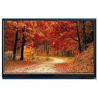 Microtips Technology HU-050WISBUBA0-B TFT LCD Display Modules 5.0 in IPS 450nits 800x480 HDMI wTouch