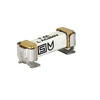 Schurter 3404.2409.22 TIme-Lag Surface Mount Fuse with clip, 4.2 x 11.1mm, Time-Lag T, UMZ250 = UMT250 (AU) +