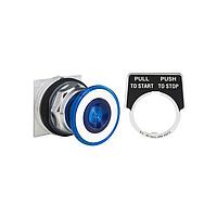 Square D 9001KR9P38LRRH2 Pushbutton Switches PSH BTTN 600VAC 10A 30MM, Type K