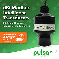 Pulsar measurement dBi-M10 Modbus Intelligent Transducer (300 mm - 10.1 m (11.8 in - 32.8 ft))