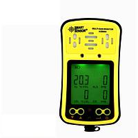 SMARTSENSOR Single Gas Detector Repair Service