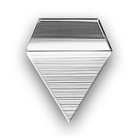 KERN 328-07 OIML F1 Test Weight (100mg)