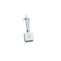 Eppendorf Research plus Micropipette (8 CH, 10-100ul)