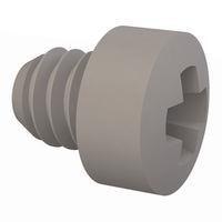 Essentra Components 012520WF025 Phillips Fillister Phillips Screw, 1/4-20 Thread, 1/4 Lg