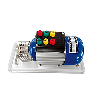 DOLANG DLDJ-ETM6314 Three-phase Asynchronous Motor