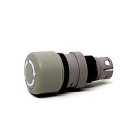 EAO 61-3440.4/8 Switch Actuators PB ACT RECT MOMMNT