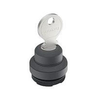 RAFI 1.30.275.101/0700 Keylock Switches RAFIX 22 FS+ Keylock switch 2x40