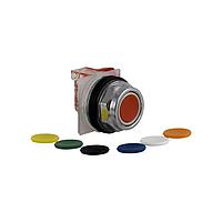 SCHNEIDER 9001KR1UH6 Push-Pull PSH BTTN 600VAC 10A 30MM, Type K