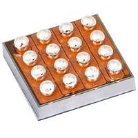 Richtek RT4730WSC LED Lighting Drivers Power Solution for Wearable AMOLED Products