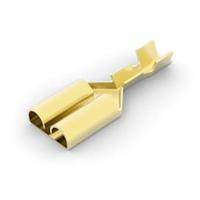 AMP Connectors - TE Connectivity 170384-1 (Cut Strip) Tab 250 SER REC WO LATCH Cut Strip of 100