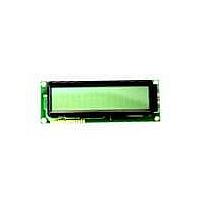Lumex LCM-S01602DSR/D LCD Character Display Modules InfoVue Std 16x2 STN, Reflective