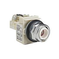 Square D 9001KT38LR Pilot Light PILOTLIGHT 120VAC 30MM TYPE K