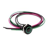 E-Switch PVA6REW4131 Anti-Vandal Anti-vandal, SPST, Off-(On), Panel Mount, Front, Black, LED, Green, IP67