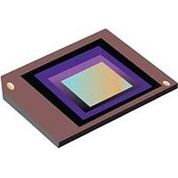 Texas Instruments DLP5500BFYA Digital Micromirror Devices 0.55 XGA DMD