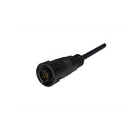 Amphenol LTW CDU-12AFMM-SL7A01 Sensor Cables / Actuator Cables Ceres, Middle Size, Plastic, 5A+2A, 12 pins, Female Connector, Male Contact, Straight, Screw Thread, Overmolded, Length 1000mm, IP67