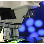 Evaluating a fluorescence microscope, should you invest?