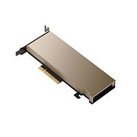 Advantech SKY-TESL-A40-48P Video Modules TESLA A40 48GB PCI-E X 16 HS