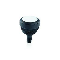 RAFI 1.10.011.201/0201 Standard Switches RAMO 22 T M12 1NO Wht FL