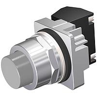 SIEMENS 52PM8B6J Pushbutton PUSHBUTTON,MOM,GRY,EXTENDED,2POS,1NC