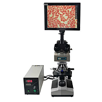 HINOTEK XPG-01SM Fluorescent Biological Microscope